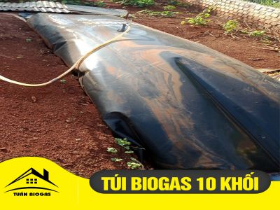 Túi Bioga 10 Khối Xử Lý Chất Thải Chăn Nuôi Hộ Gia Đình | Kích Thước 2mx10m.