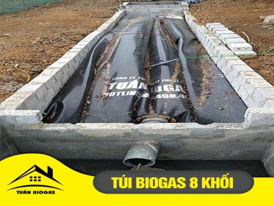 Túi Bioga 8 Khối Xử Lý Chất Thải Chăn Nuôi Hộ Gia Đình | Kích Thước 2mx8m.