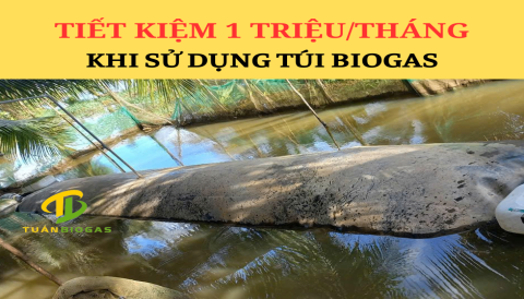 Nấu Ăn Nấu Rượu Bằng Khí Biogas Tiết Kiệm 1 Triệu 1 Tháng