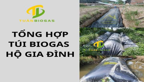 Tổng Hợp Các Mẫu Túi Biogas Hộ Gia Đình Mới Nhất 2024