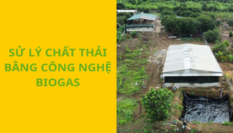 Công nghệ Biogas là gì? Ứng dụng và cách xử lý chất thải trong chăn nuôi hiệu quả
