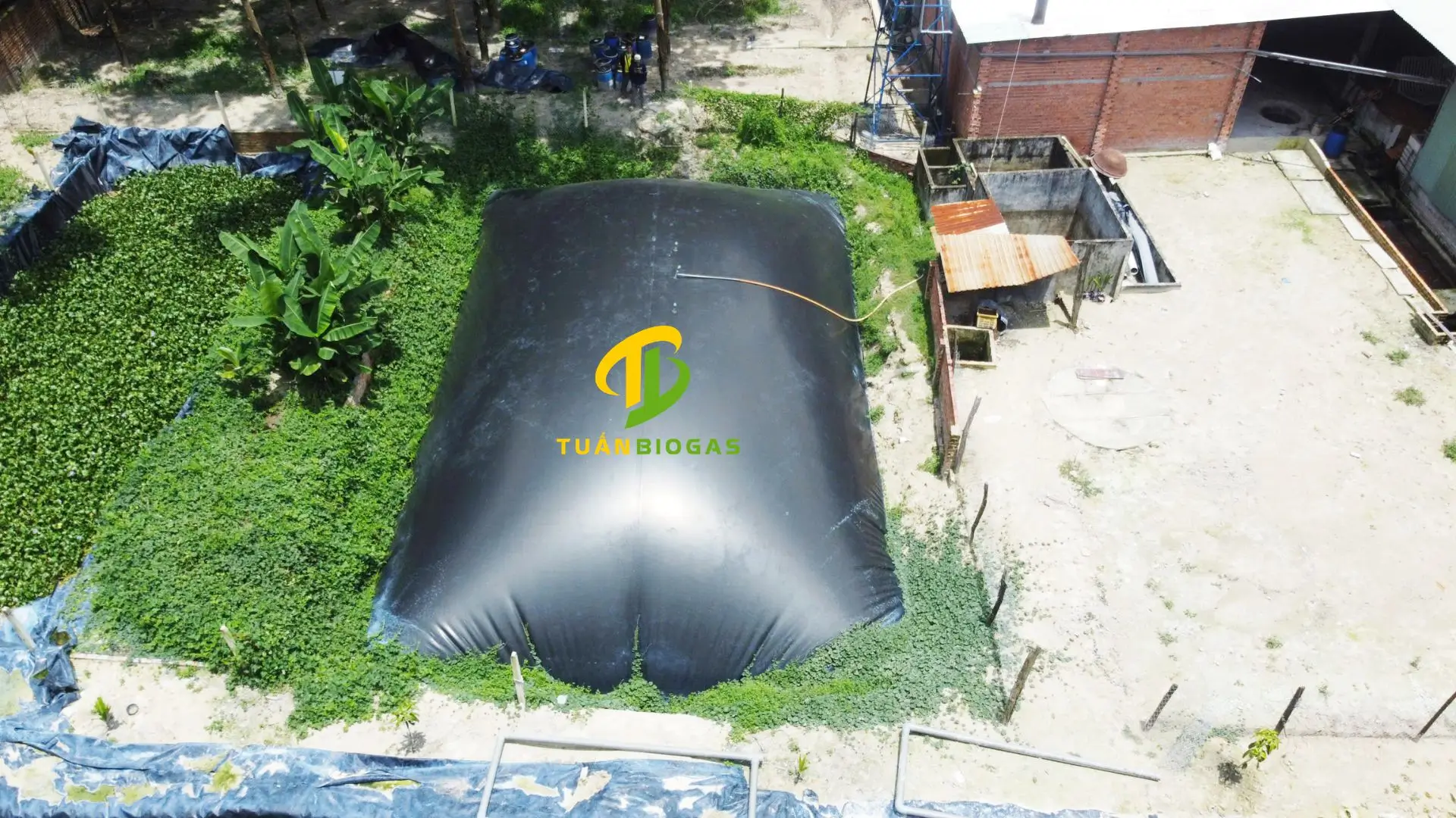 Giải Pháp Chạy Máy Phát Điện Bằng Khí Biogas: Xu Hướng Năng Lượng Xanh Giúp Trang Trại Tự Chủ Điện Lưới