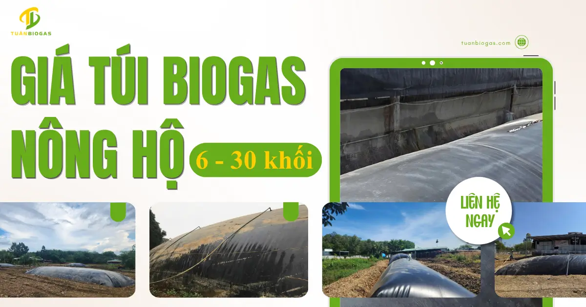 Giá Túi Biogas Nông Hộ 6–30 Khối: Chọn Cỡ Túi Theo Số Heo Nhà Bạn