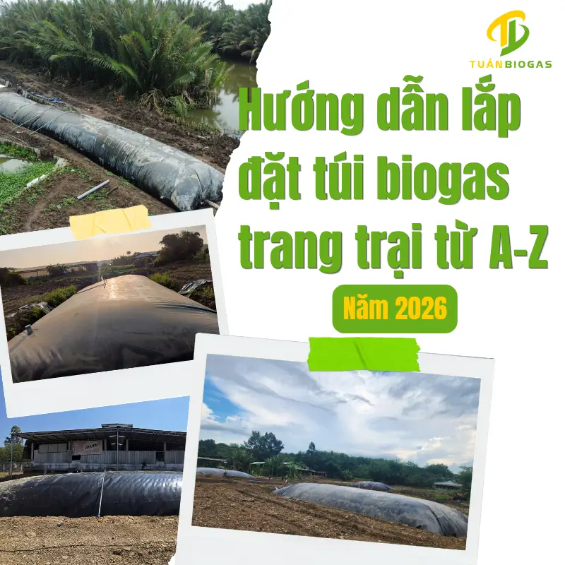 Hướng dẫn lắp túi biogas cho trang trại từ A-Z năm 2026