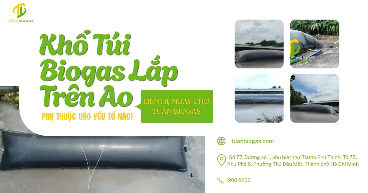 Khổ Túi Biogas Lắp Trên Ao Phụ Thuộc Vào Yếu Tố Nào?