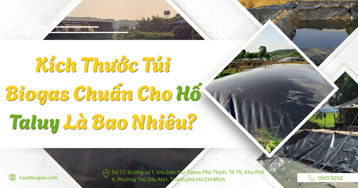 Kích Thước Túi Biogas Chuẩn Cho Hố Taluy Là Bao Nhiêu?