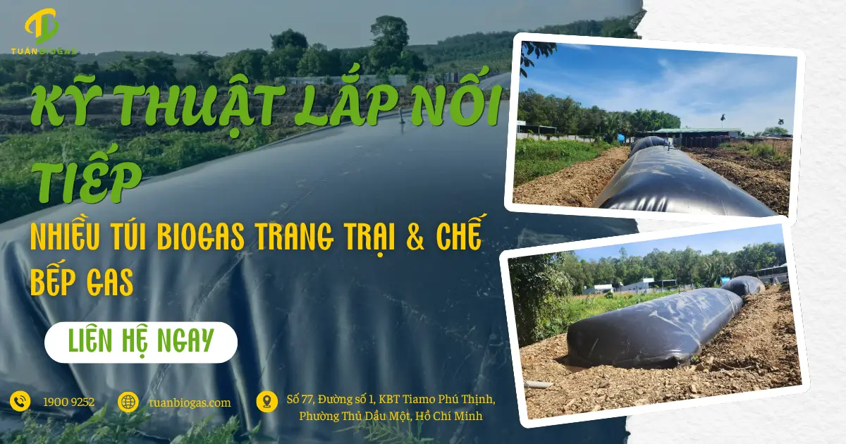 Kỹ Thuật Lắp Nối Tiếp Nhiều Module Túi Biogas Trang Trại & Bí Quyết Chế Bếp Lửa Cực Mạnh