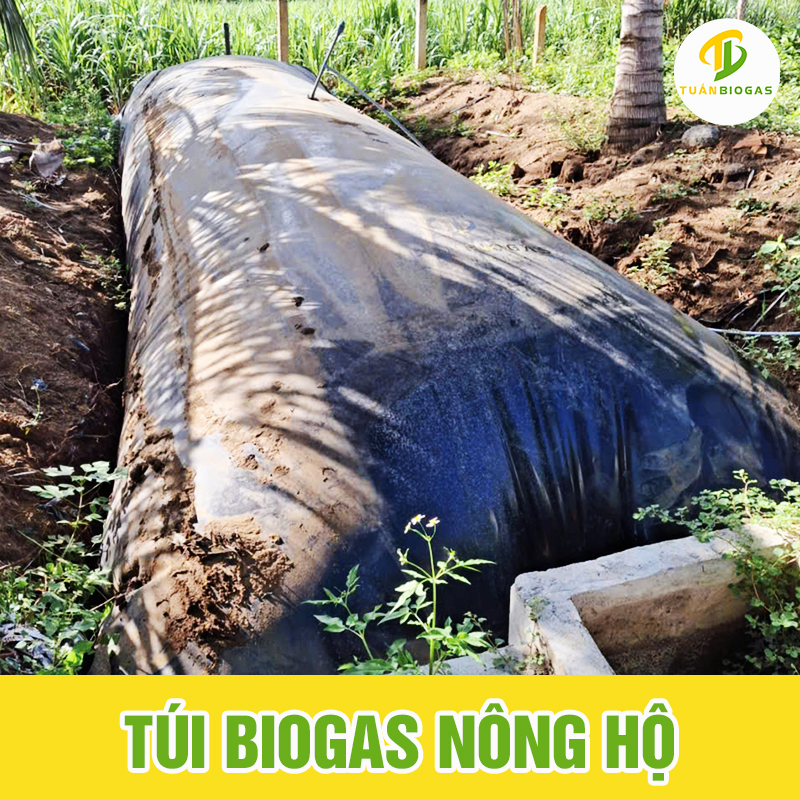 tui-biogas-6-khoi-400-khoi