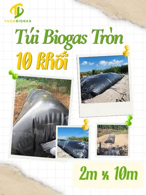 Túi Biogas Tròn 10 Khối Xử Lý Chất Thải Chăn Nuôi Hộ Gia Đình: Giải Pháp Tiết Kiệm, Bền Vững Hàng Đầu