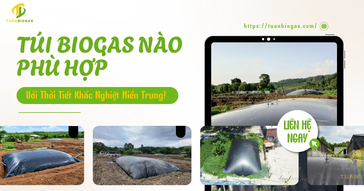 Túi Biogas Nào Phù Hợp Với Thời Tiết Khắc Nghiệt Miền Trung?