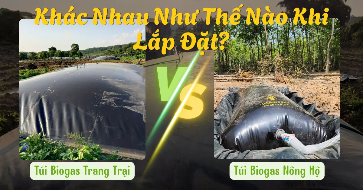Túi Biogas Trang Trại Khác Túi Nông Hộ Như Thế Nào Khi Lắp Đặt?