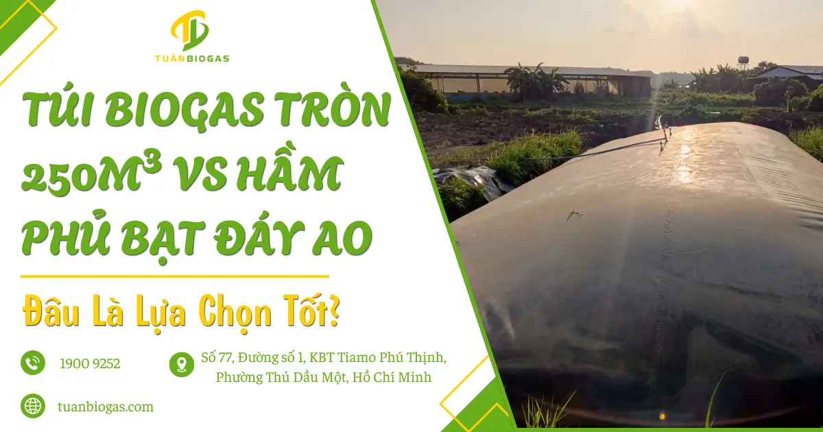 Túi Biogas Tròn 250m³ Làm Sẵn Vs Hầm Phủ Bạt Đáy Ao Truyền Thống: Đâu Là Lựa Chọn Tối Ưu?