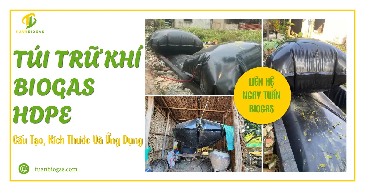 Túi Trữ Khí Biogas HDPE 0.75mm: Cấu Tạo, Kích Thước Và Ứng Dụng Thực Tế