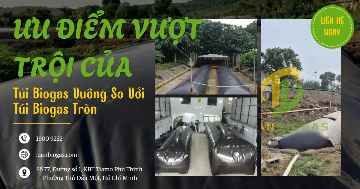 Ưu Điểm Vượt Trội Của Túi Biogas Vuông So Với Túi Biogas Tròn Trong Chăn Nuôi