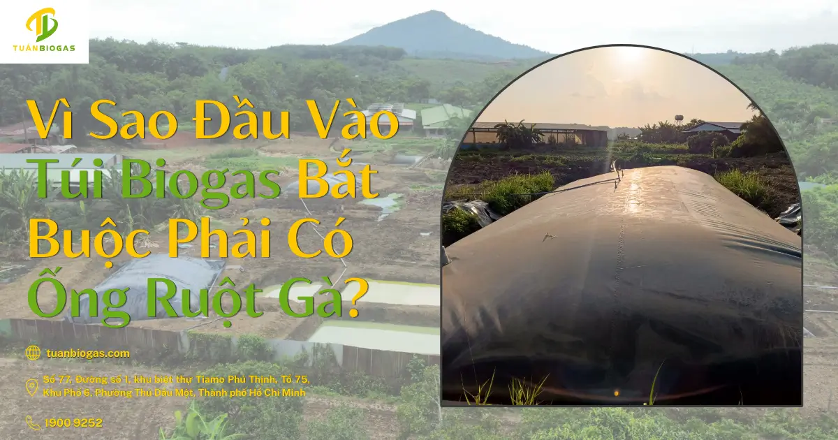 Vì Sao Đầu Vào Túi Biogas Bắt Buộc Phải Có Ống Ruột Gà?