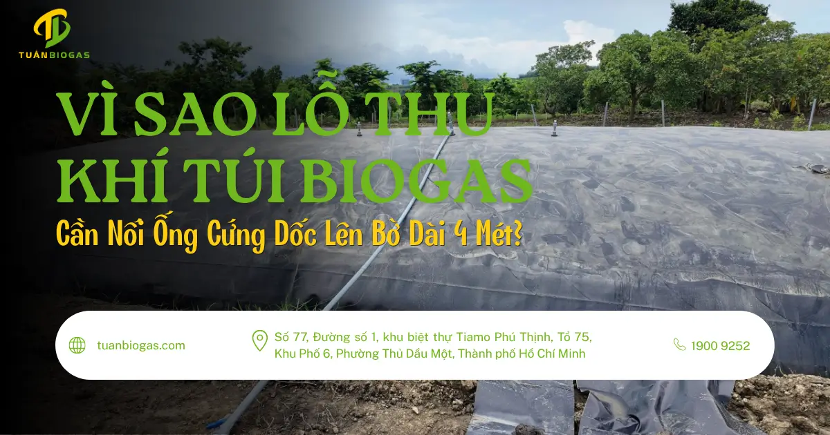 Vì Sao Lỗ Thu Khí Túi Biogas Cần Nối Ống Cứng Dốc Lên Bờ Dài 4 Mét?