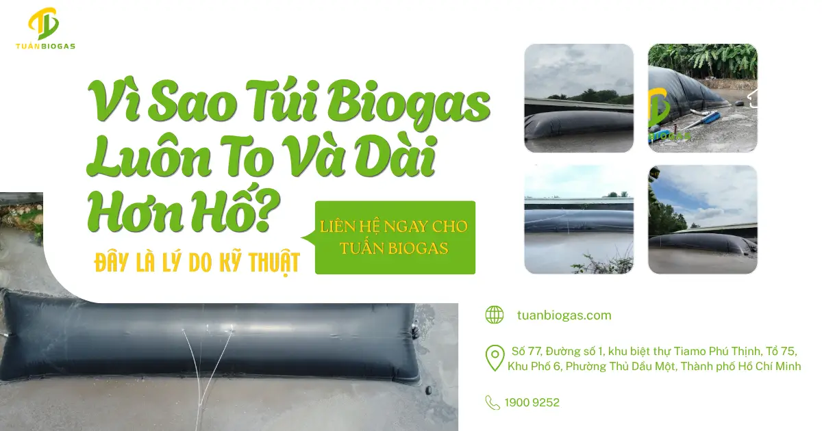 Vì Sao Túi Biogas Luôn To Và Dài Hơn Hố? Đây Là Lý Do Kỹ Thuật