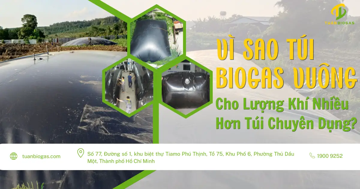 Vì Sao Túi Biogas Vuông Cho Lượng Khí Nhiều Hơn Túi Biogas Chuyên Dụng?