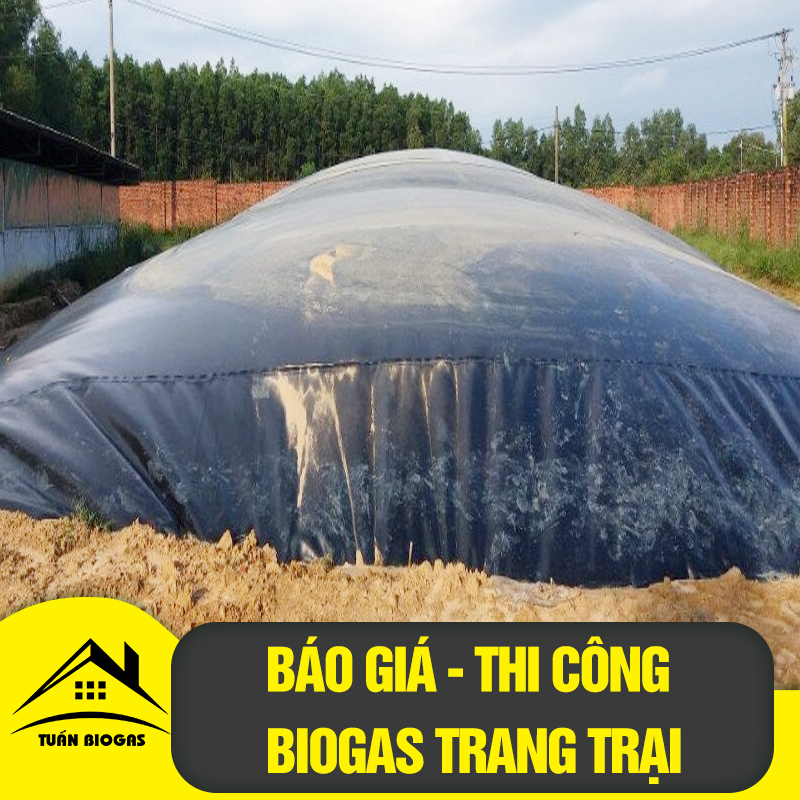 Ứng dụng công nghệ biogas để phát điện tiêu dùng