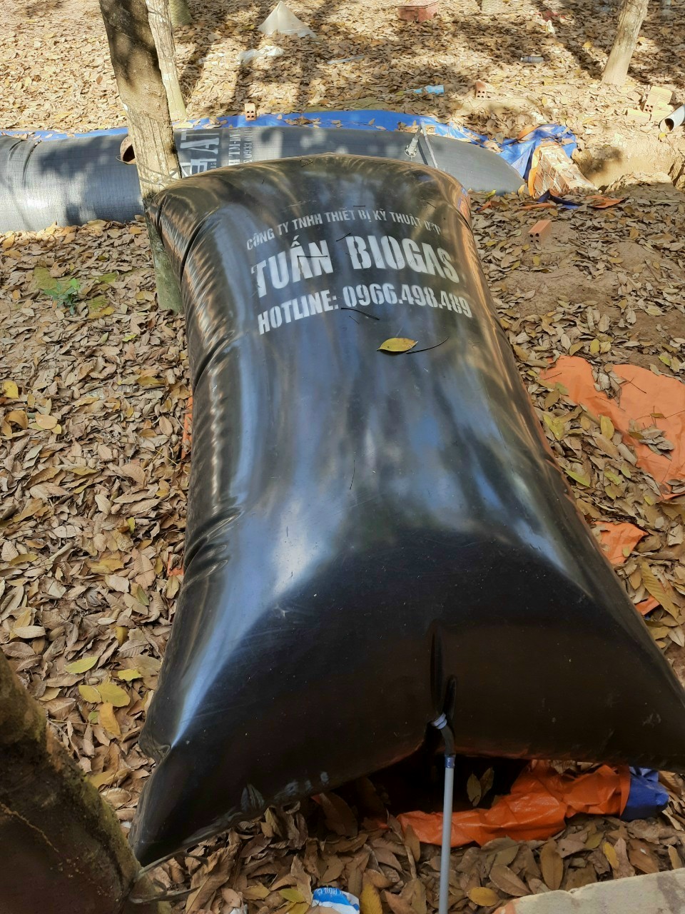 tui-tru-2