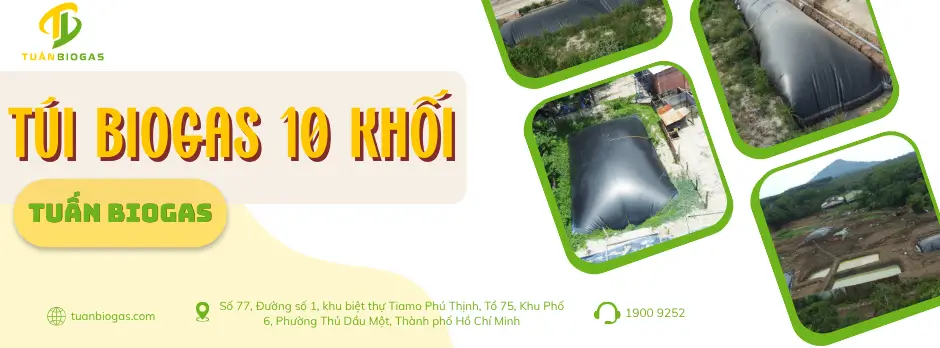 thumnail túi biogas 10 khối