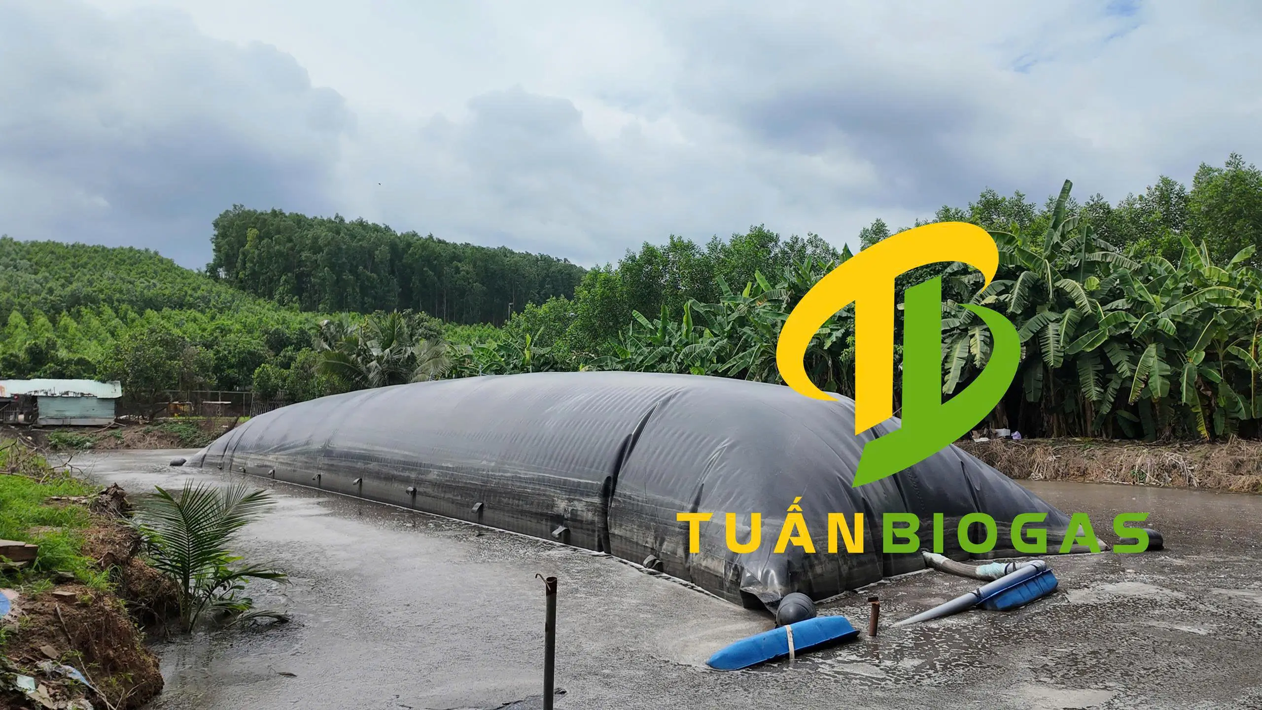 Can nhựa được cột cố định tại các góc túi biogas để giữ ổn định trên mặt ao