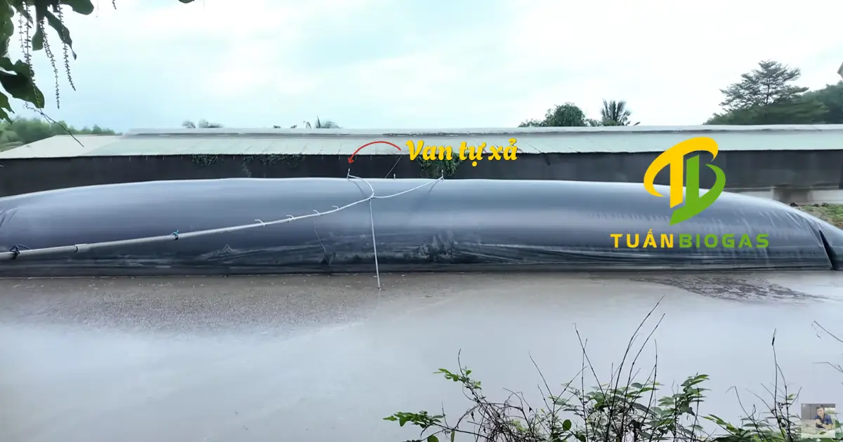 Van tự xả áp suất lắp trên túi biogas nổi trên ao