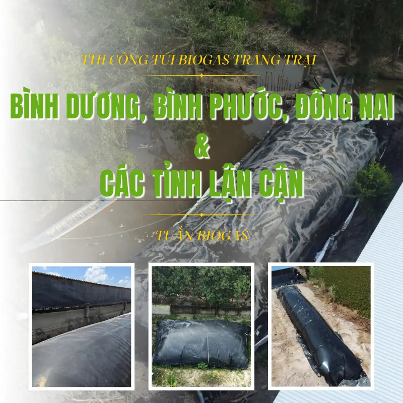 Thi công hầm biogas cho trang trại heo tại Bình Dương, Đồng Nai, Bình Phước và các tỉnh thành lân cận.