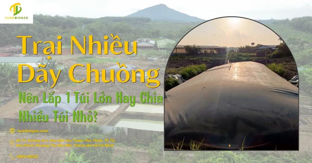 Trang Trại Nhiều Dãy Chuồng Nên Lắp 1 Túi Biogas Lớn Hay Chia Thành Nhiều Túi Nhỏ?